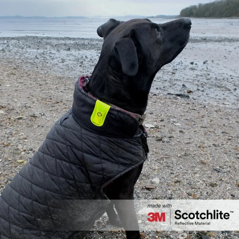 2026 Novo clipe magnético LED – reflexivo, prático com clipe, feito com 3M Scotchlite