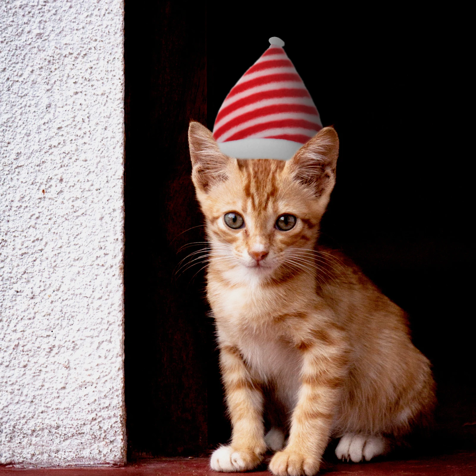 

3Pcs Christmas Pet Hat Decorative Design Long Term Use for Dog Cat Party Cosplay Photo Shoot Accessory Christmas Cat Caps