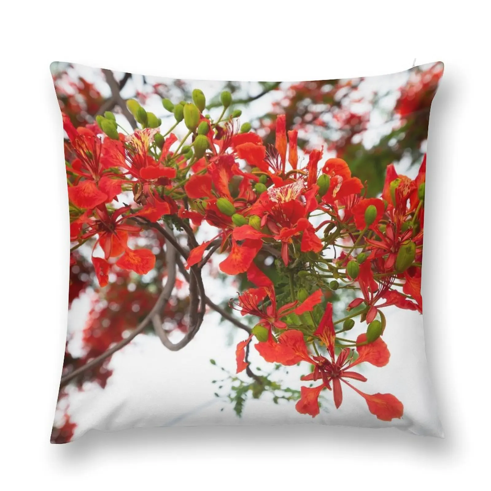 Almohada de tiro de árbol de pavo real, cojín de Navidad para el hogar, Royal poinciana, (Delonix regia), también llamado árbol flamboyant o árbol de pavo real