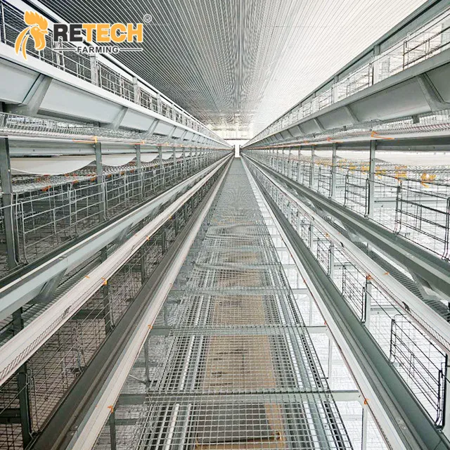 

Modern Poultry Farming Animal Cage Equipment for Commercial Laying Hens in Vietnam