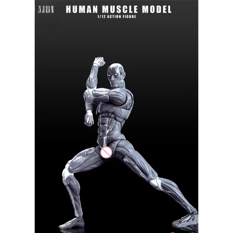 

1/12 Scale Human Muscle Model Male Super Flexible Articulated Muscle Joint Body for 6" Soldier Doll Anatomy Painting Collection