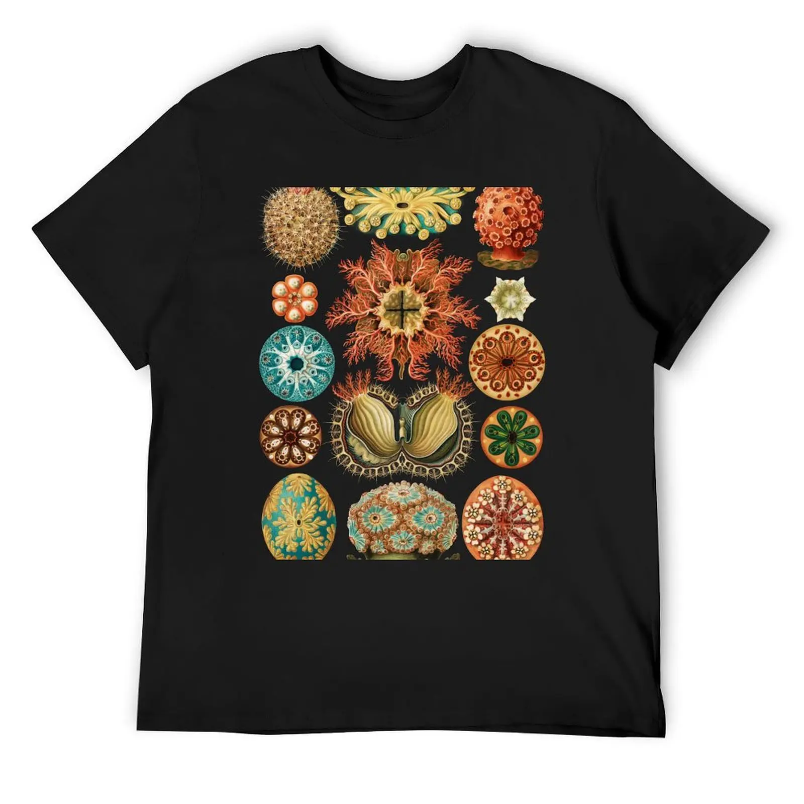 

Ascidiacea - Sea Squirts T-Shirt anime man t shirt animal prinfor boys blanks mens graphic t-shirts pack