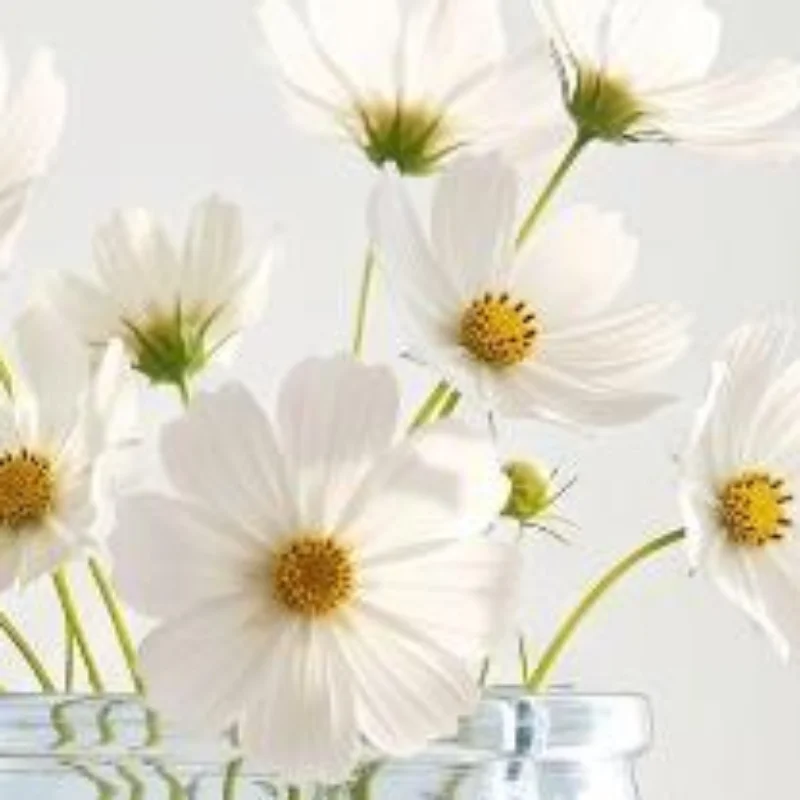 Irregular Curved Glass Flower Vase Clear High-Clarity Planter For Fresh Bouquets, Dried Flowers & Wedding Table Centerpieces