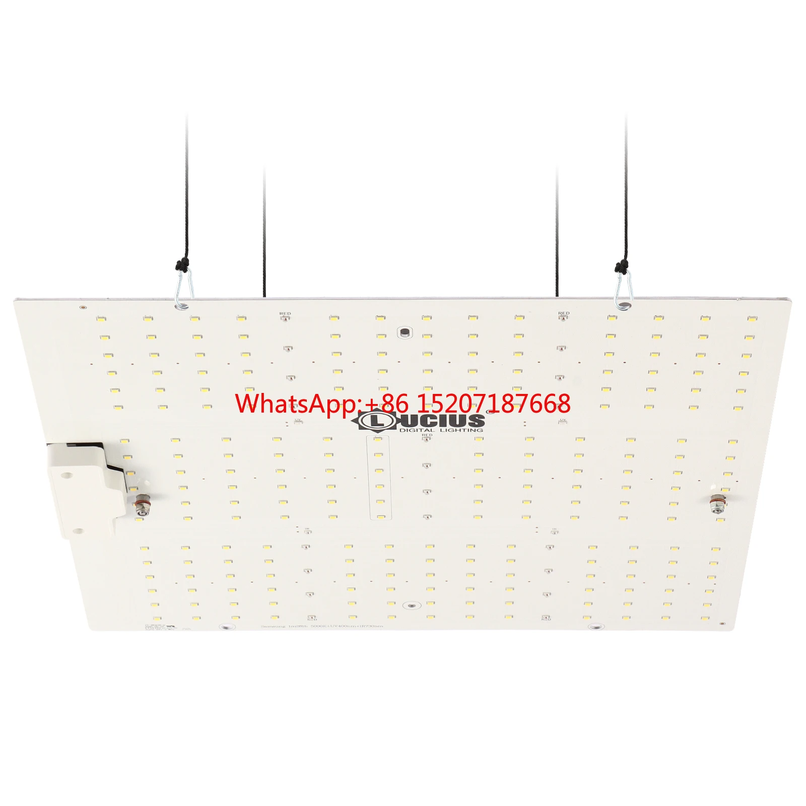 Wholesale Commercia…