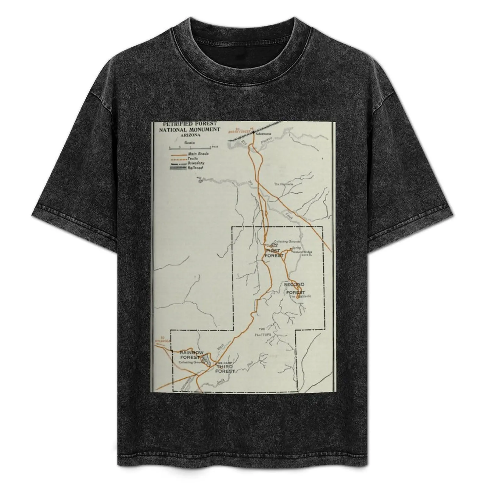 Vintage Petrified Forest National Park Map (1919) T-Shirt graphic t shirts anime shirts men