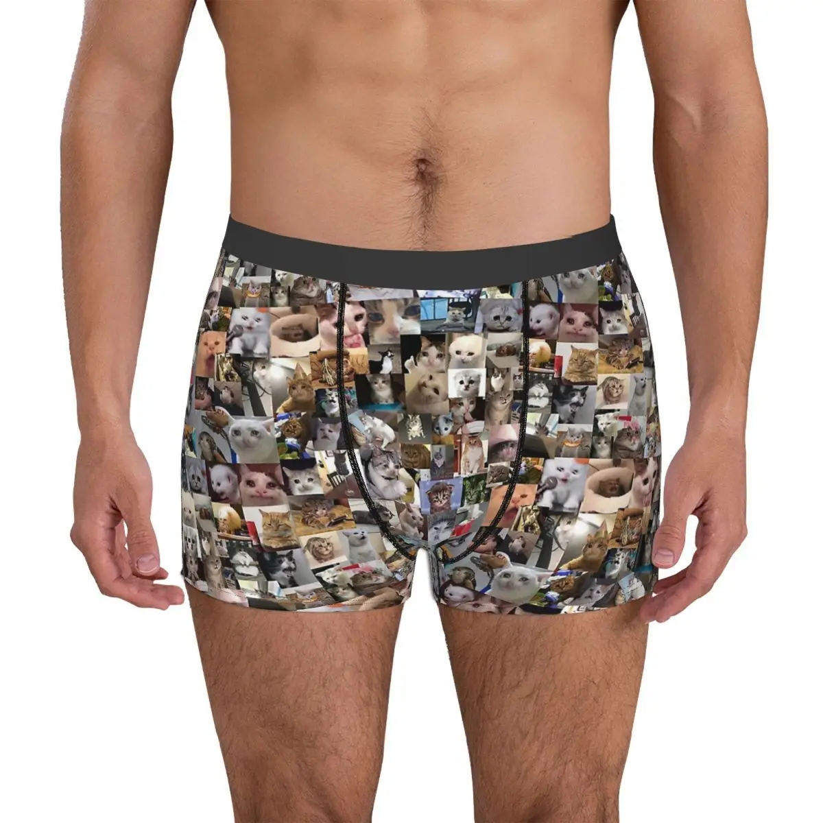 Ultimate Sad Cats Meme Underpants Cotton Panties Men\'s Underwear Comfortable Shorts Boxer Briefs