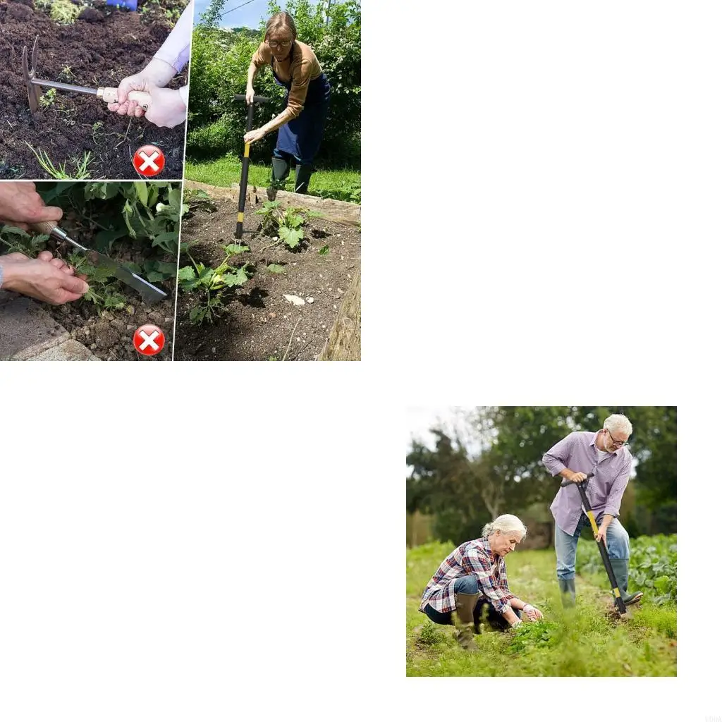 Gardening Weeder With Detachable Stainless Components Standing Operation Reduces Back Strain During Use