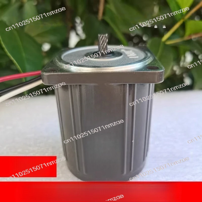 

60-220-10 10W motor gear shaft motor 3-wire fixed speed