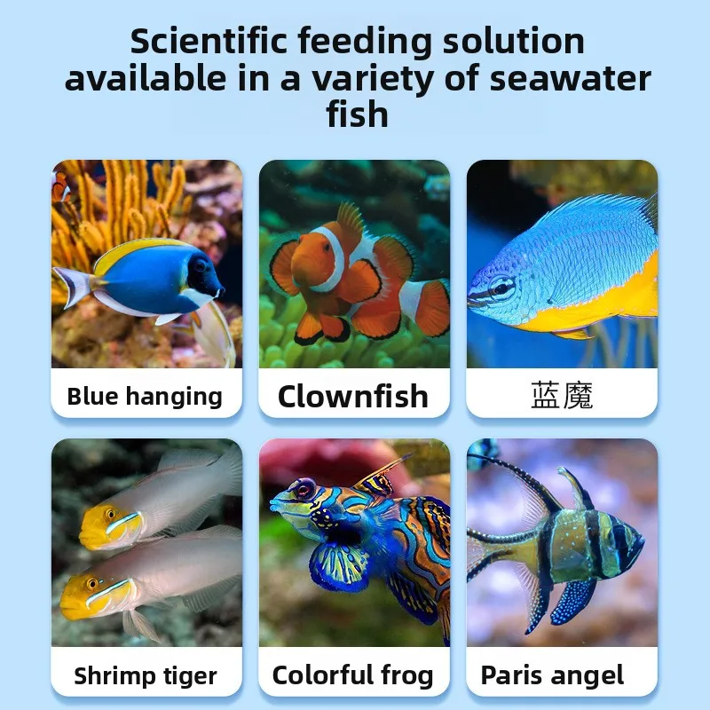 Maytra Tropical Fish Food - Small Sinking Pellets with Garlic & Spirulina for Clownfish,Guppies,Tetras - Color Enhancing Formula view 3