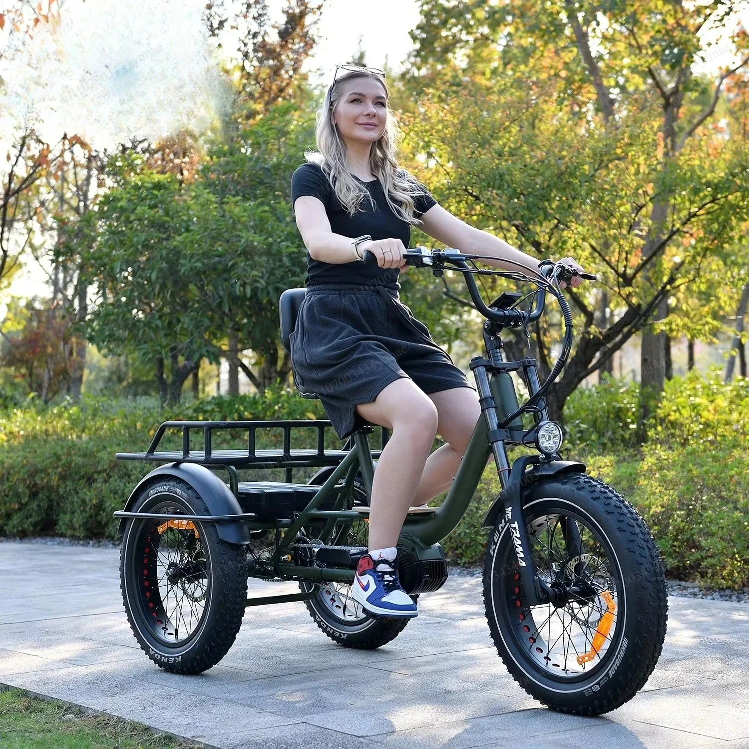 Fat Tyre Adult Electric Tricycle 750W 48V Cargo Electric Trike All Terrain Sand Snow Three Wheeler Bike