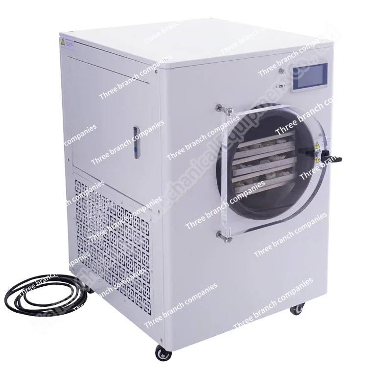 Freeze Drying Machine For Banana Freeze Dryer Thailand Vacuum Freeze Dryer Machine