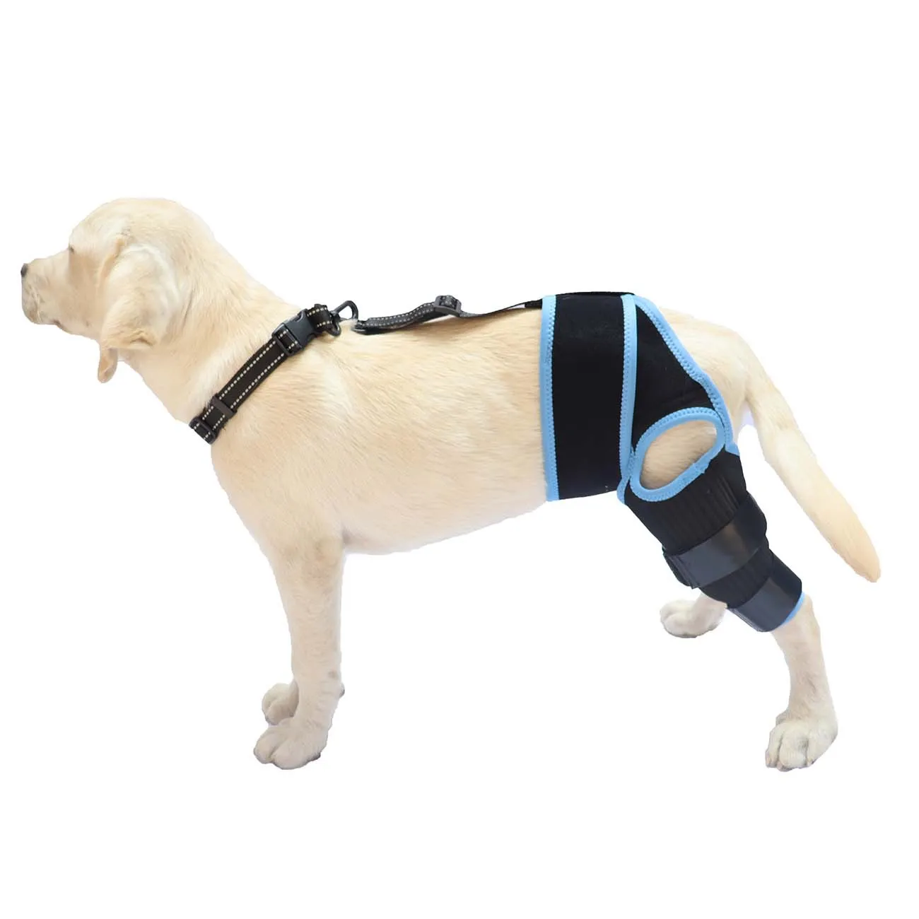 

Dog Leg Support Brace Knee Hip Joint Protect Wounds Prevent Injuries Canine Aid And Ligament Rehabilitation For Pets Accessories