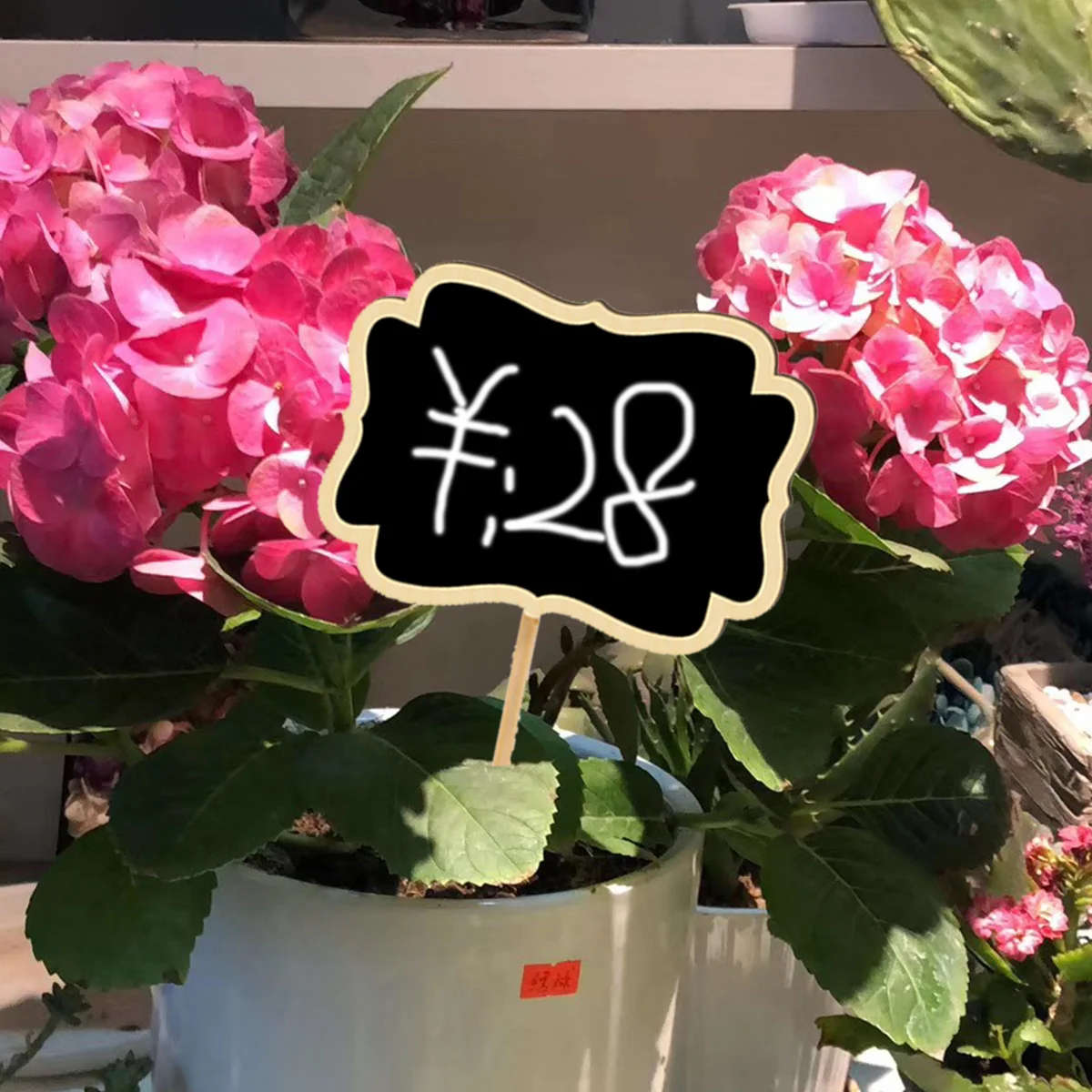 

20Pcs Mini Chalkboard Toppers Wooden Blackboard Garden Plant Markers Message Boards for Signage Flower Labels Parties Christmas