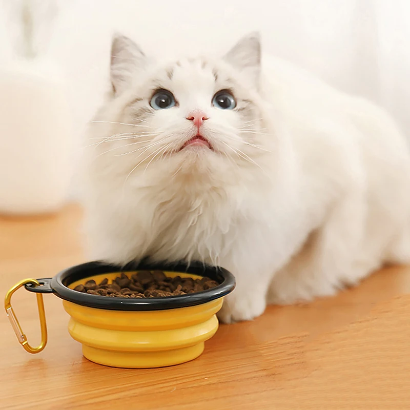 #3 Collapsible Puppy Bowls Discount Picks