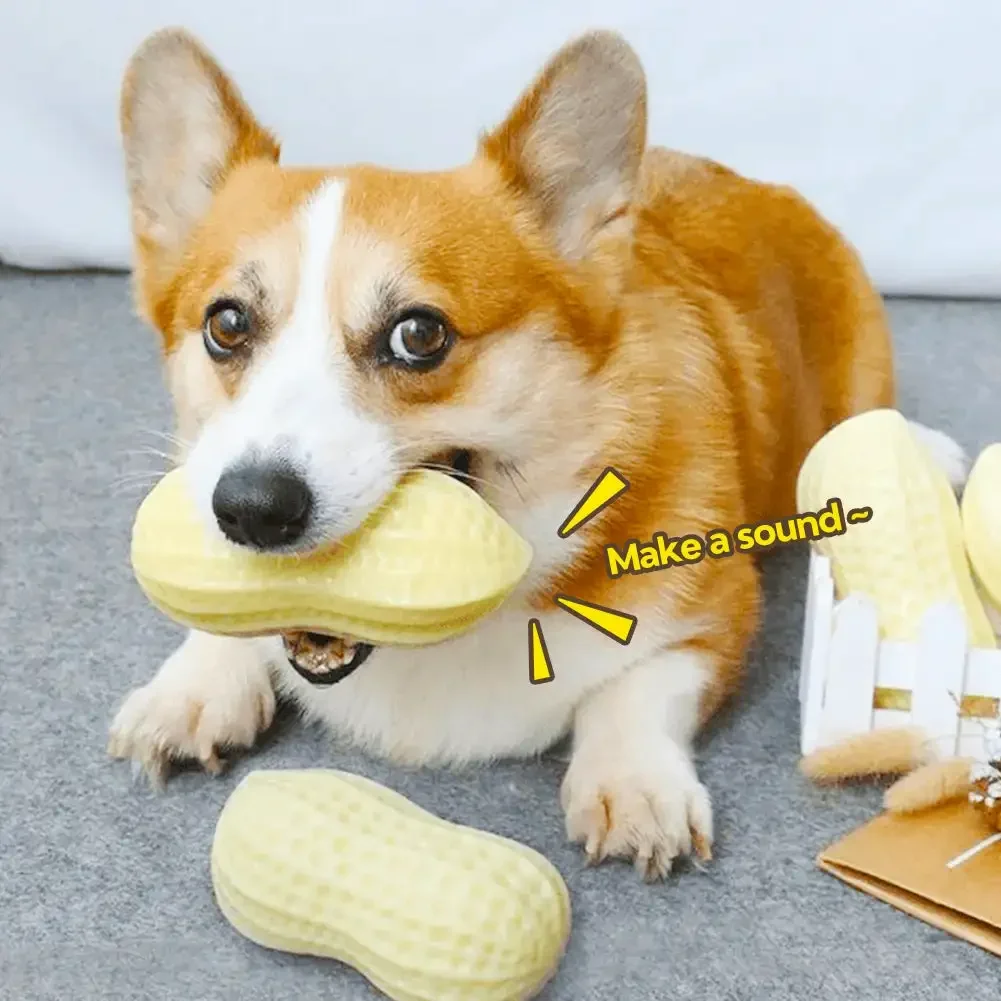 Dog Chewing Toy Screaming Rubber Peanut Grinding Teeth Cleaning Anti Bite Rubber Corgi Teddy Shiba Inu Small Dog Toy Ball