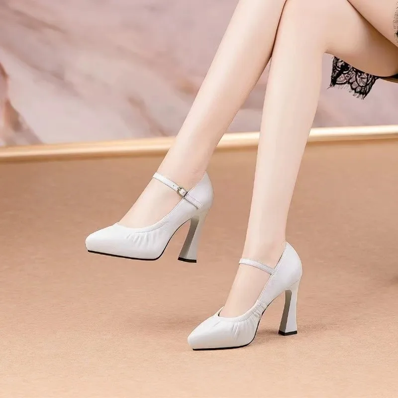 2023 Spring Autumn Season New Fashionable Pointed Solid Leather Surface Light Mouth Flat Buckle High Heel Women\'s Single Shoes