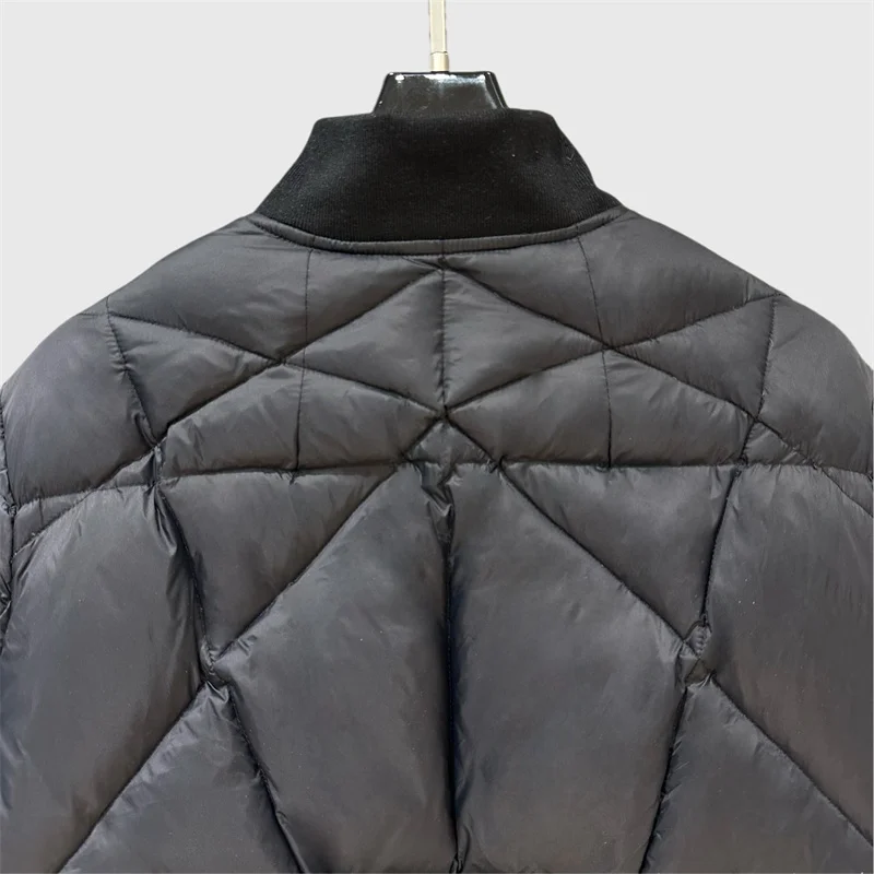 Dames winterjas 2025 Nieuwe single-breasted slim fit korte donsjas witte eendendons gevulde donsjassen y2k warme dikke jas