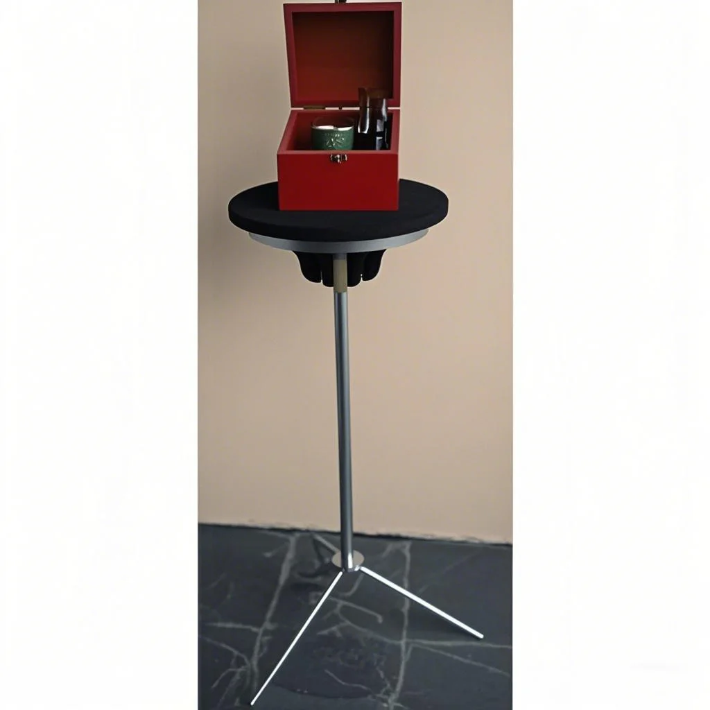 Relatività Vindicata Trucco magico Vanishing Magia Mago Illusioni Trucco Mentalismo Scomparsa Palcoscenico Bar di stradaAccessori