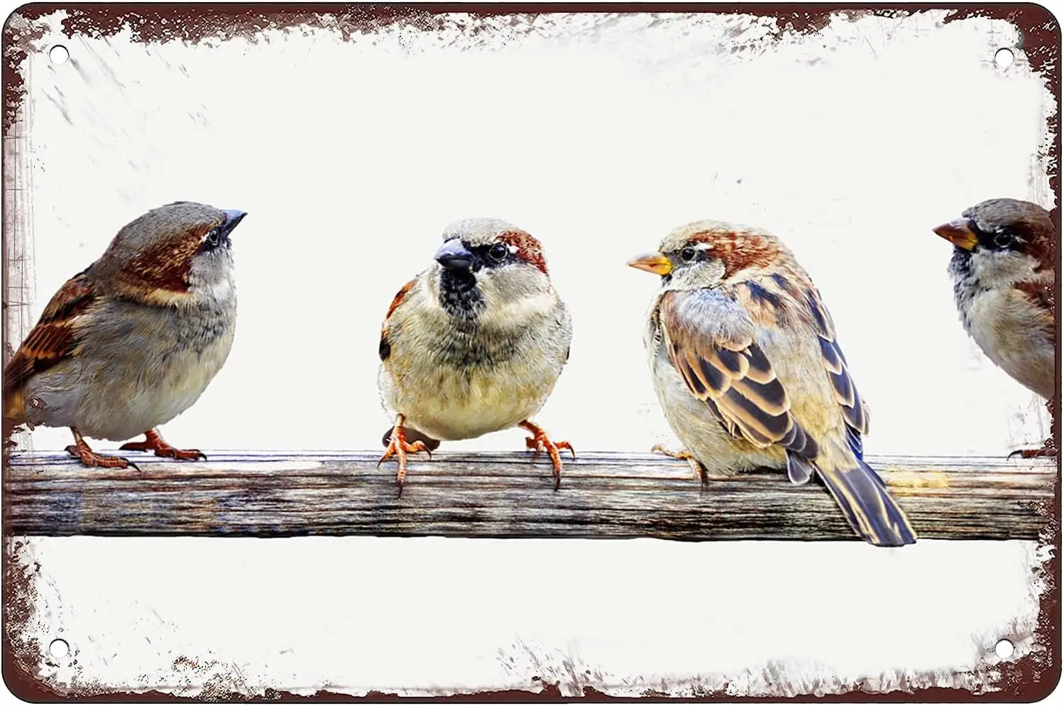 Sparrow Perch Birds On A Wire Tin Sign Retro Poster Bird Vintage Room Decor Iron Painting Metal Signs For Farmhouse Kitchen Deco