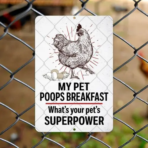 Chicken Sign Funny Breakfast Superpower Quote Hen Coop Decor by Dyenamic Art