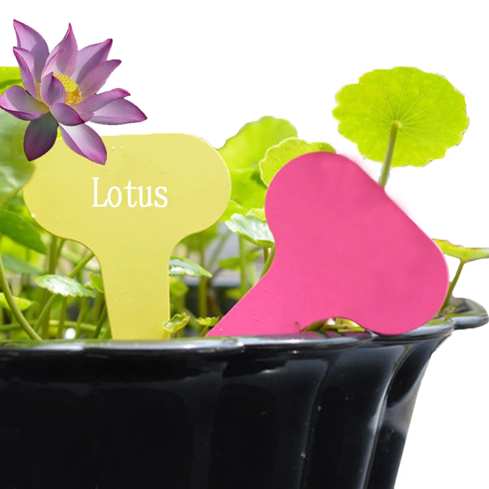 100pcs Garden Labels Plant Classification Sorting Sign Tag Ticket Plastic Writing Plate Board Plug In Card Colorful