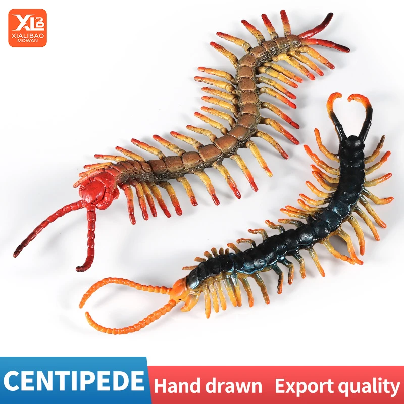 New Wild Insect Animals Model Large Centipede Action Figures Collection Decor Miniature Kid Education Halloween Toy