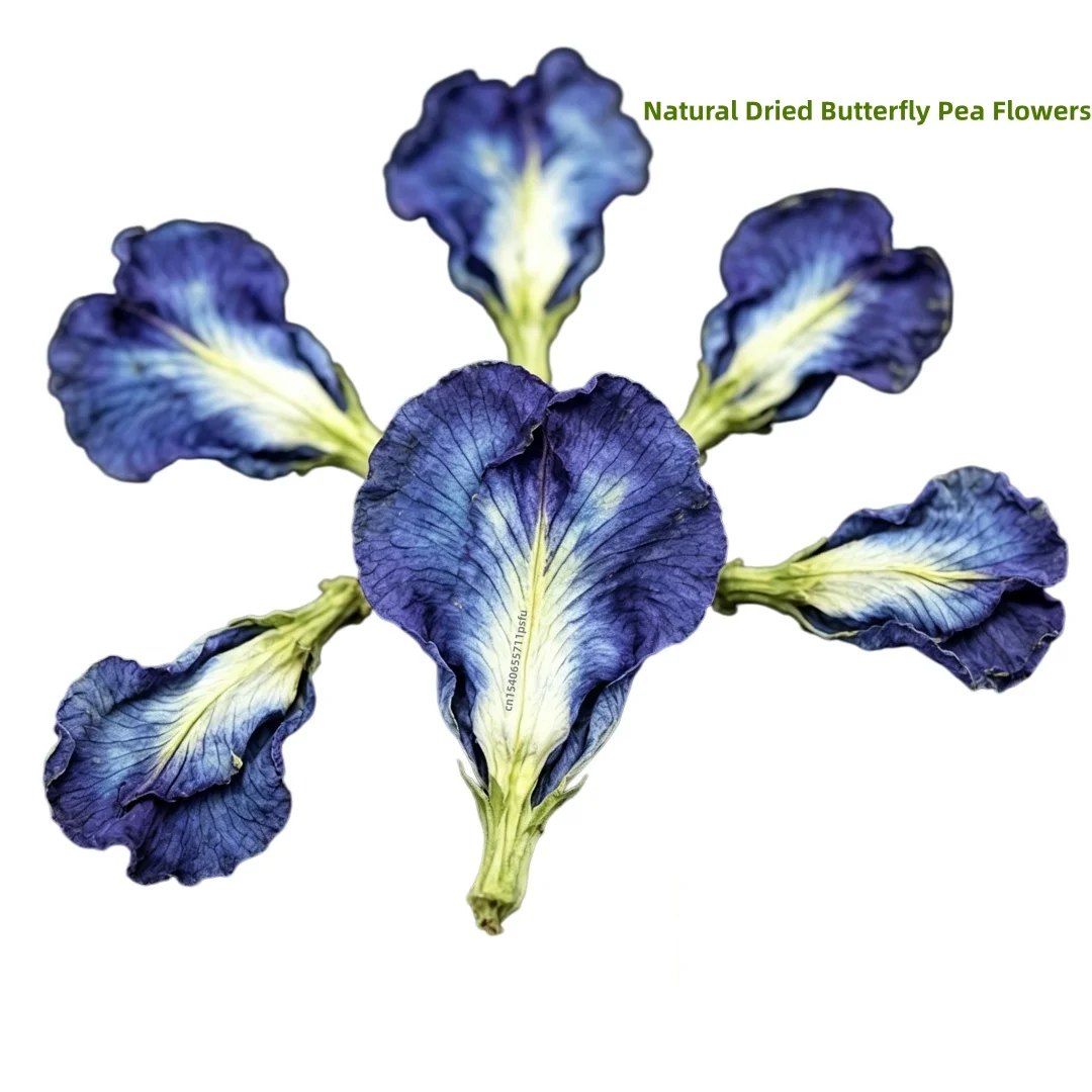 Flor de guisante mariposa natural seca y polvo de flor de guisante mariposa, Clitoria Ternatea azul orgánica para manualidades, colorear y decorar.