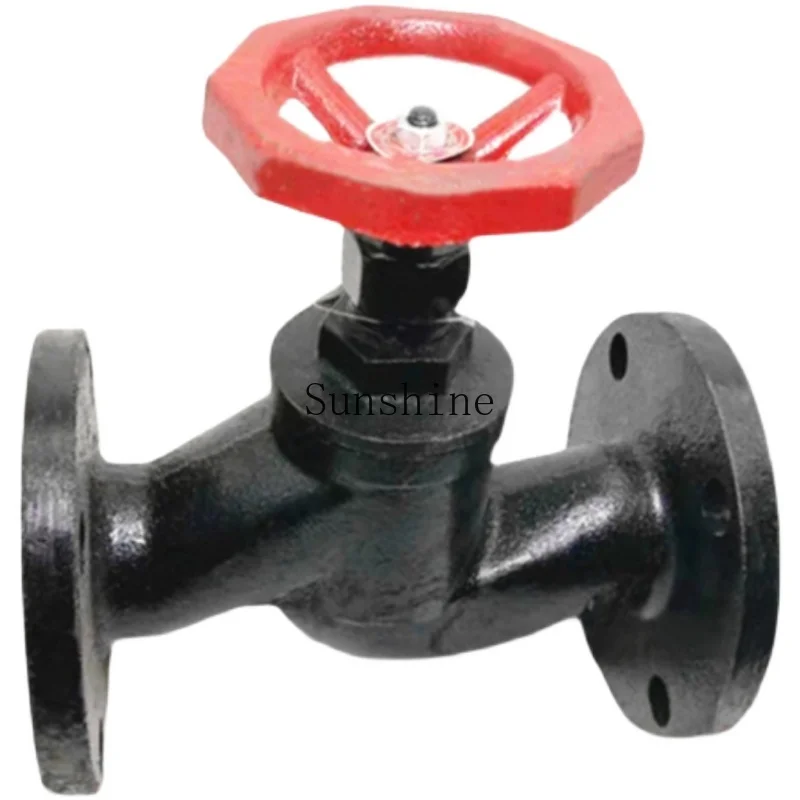 

J41T-16 Black Cast Iron Flanged Globe Valve 10 Copper Core DN15 20 25