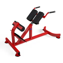 loaded machine Back Extension High quality bodybuilding Strength Equipment Commercial gym fitness equipment plate