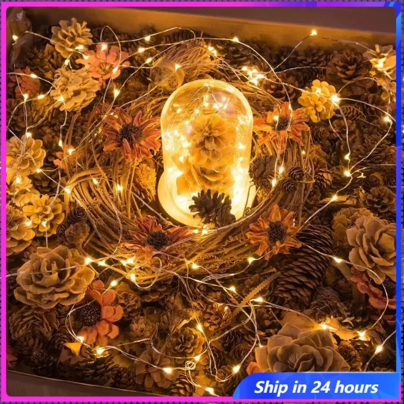 LED String Lights Silver Wire Fairy Warm White Garland Home Christmas Wedding Holiday Party Decoration Powered By Battery