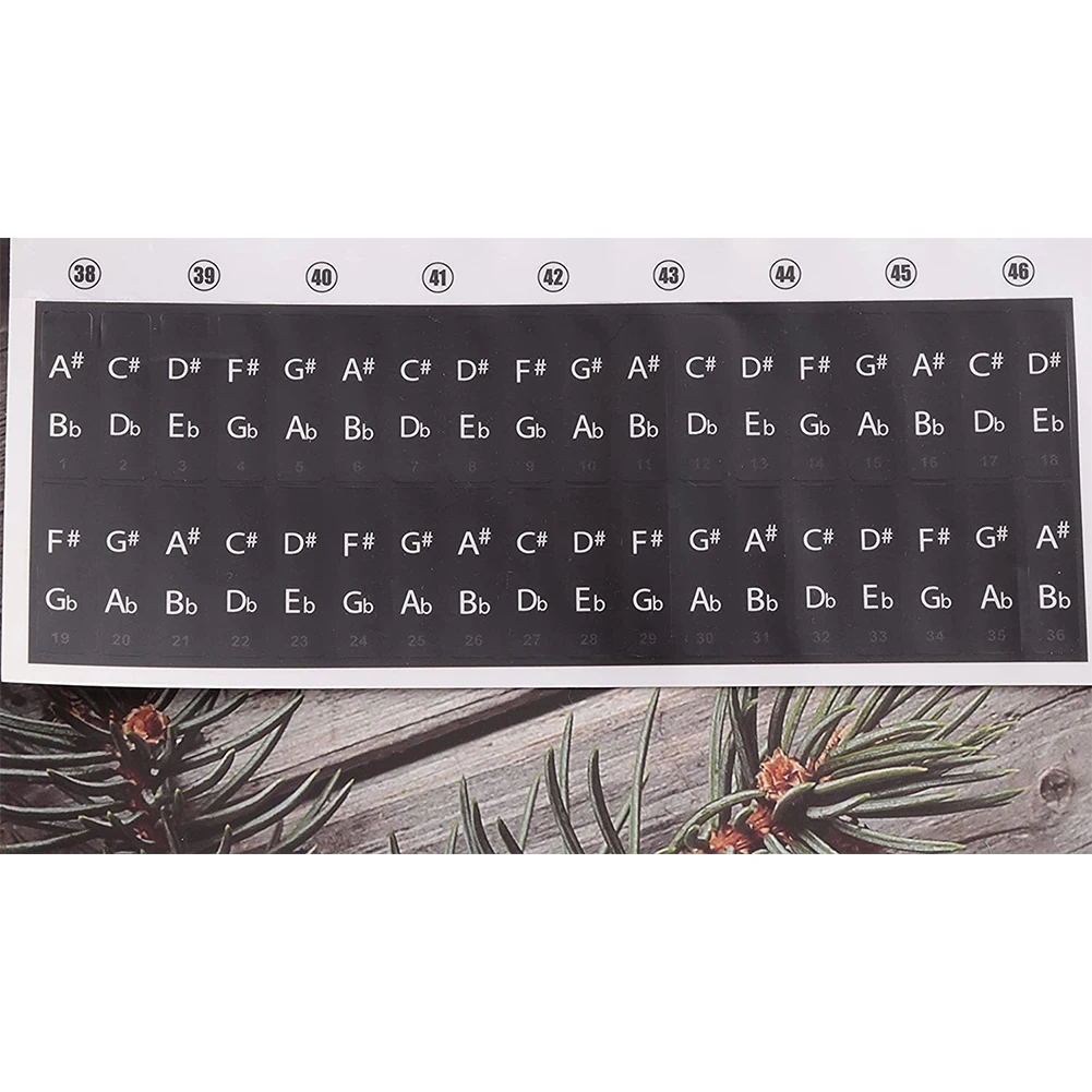 Piano Keyboard Sticker 22.7 * 24.6cm Beginner Colorful For 88/61/54/49/37Key Keyboard Stickers Note PVC Transparent