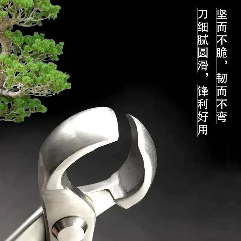 Ball Pliers, Tree Nodules, Tree Nodes, Pruning Pliers, Professional Horticultural Bonsai Production, Shape, Ball Scissors