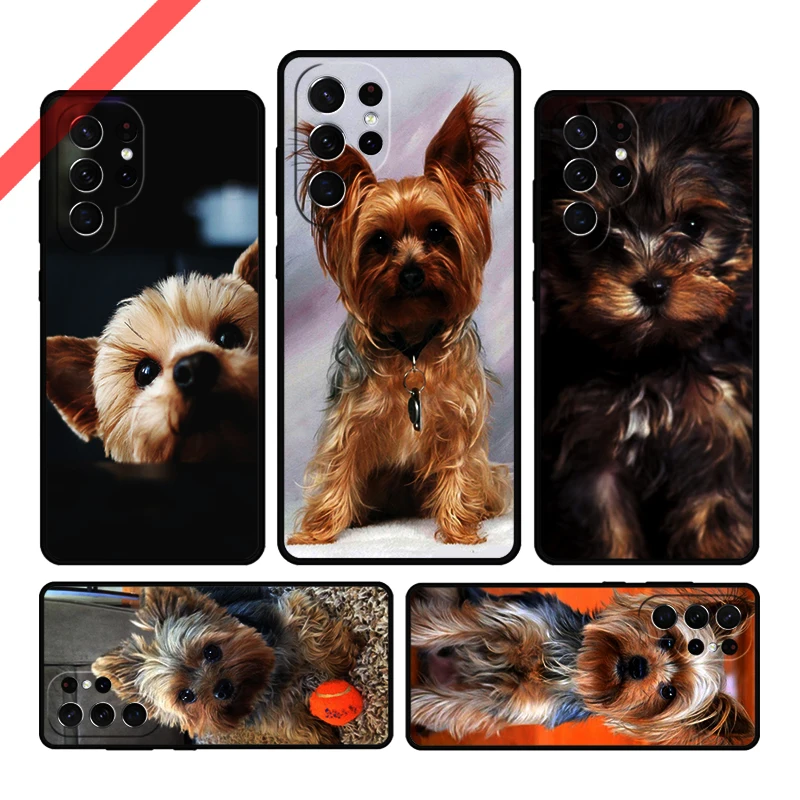 Dog YORKSHIRE TERRIER Puppy Phone Case For Samsung Galaxy S20 FE S21 S10 S23 Plus S24 S22 Ultra Coque Note20 Note10 S9 S8 Cover