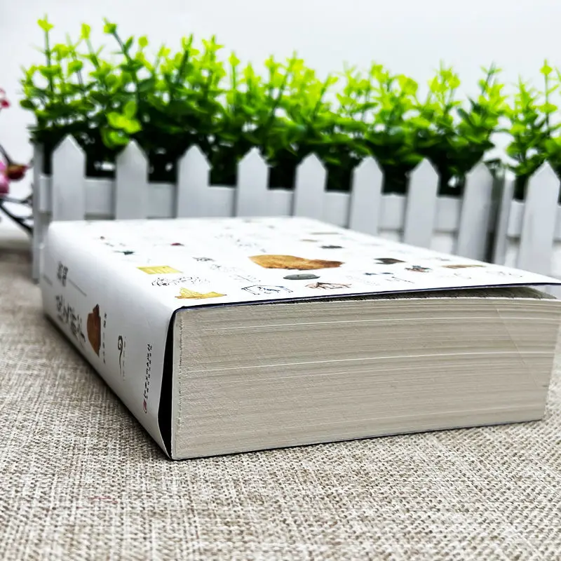 Compile and explain the complete version of the text