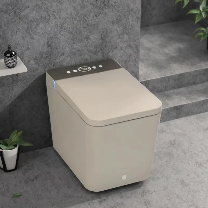 

Commercial WaterMark One Piece Square S-Trap Floor Mounted Seat Heating Intelligent Electric Bidet Smart Automatic