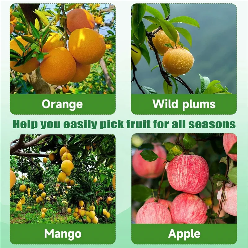 أقطاب قطف الفاكهة من LICE، سلال قطف الفاكهة، أنظمة قطف وحصاد متكاملة للمانجو والبرتقال