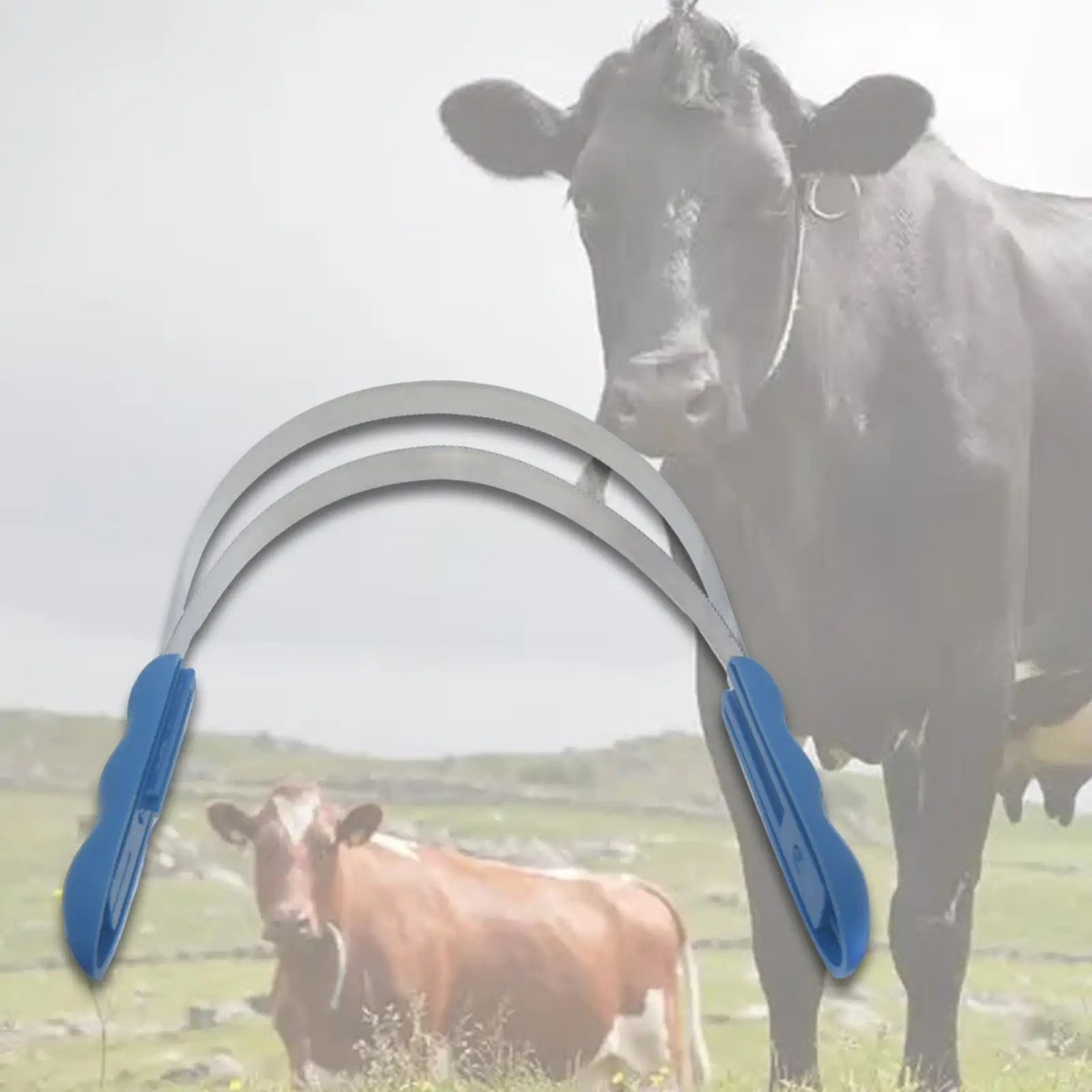 Reitbürste Schaber Pferdepflegekamm Doppelseitige Verschlussklinge Pferd