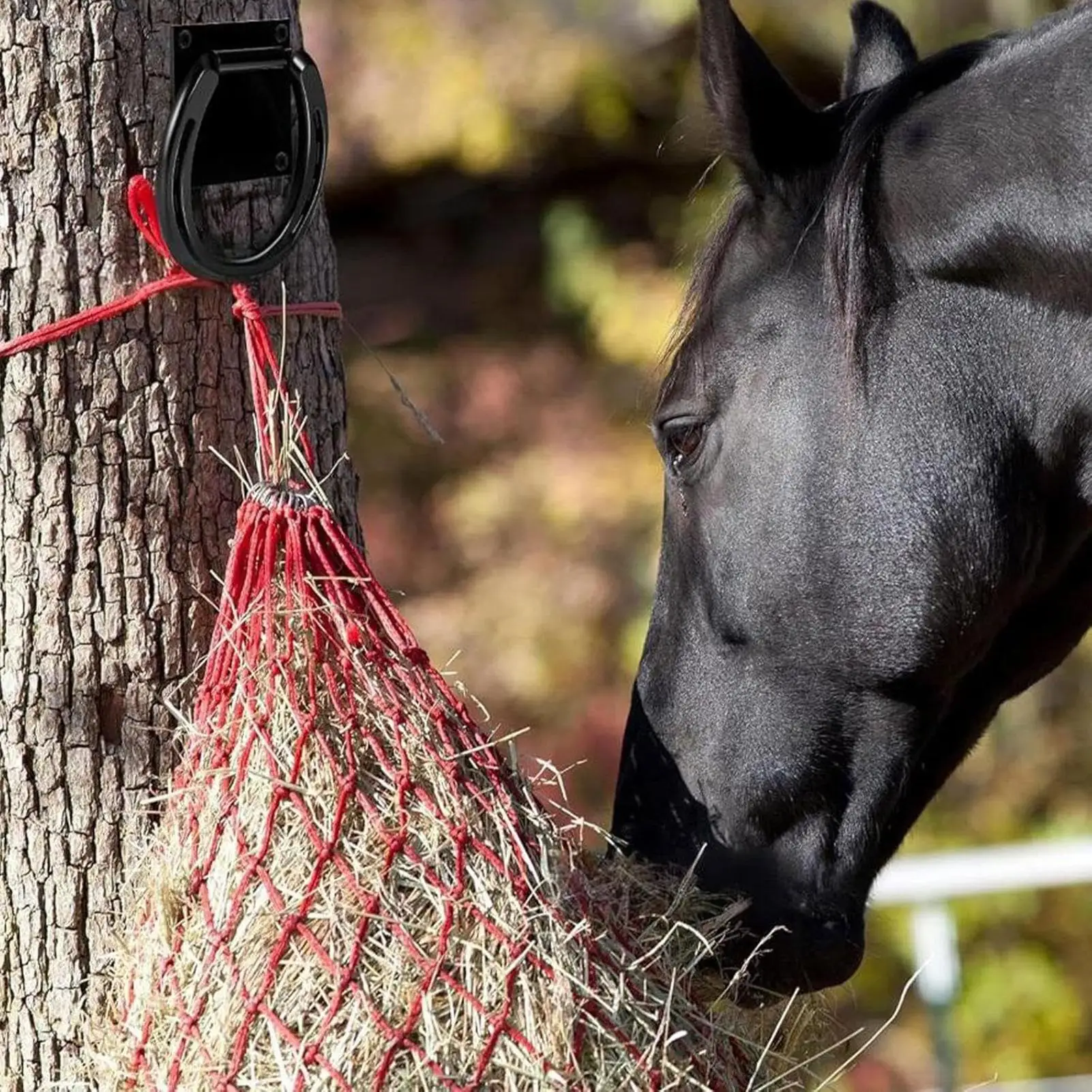 Anello per legare il cavallo Anello per legare il cavallo Forniture per fienile con viti di espansione per recinzione esterna Pascolo stabile per il contenimento degli animali