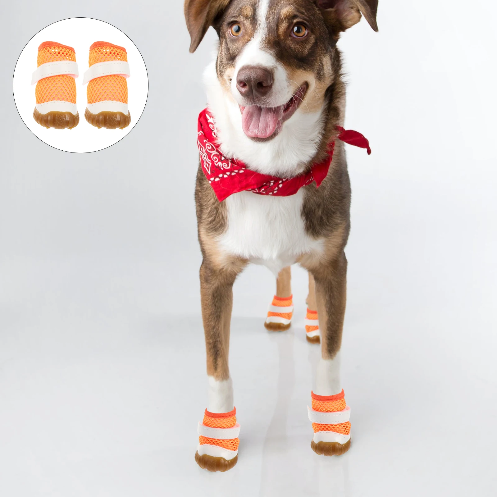 

4 Pcs Summer Pet Shoes Puppy Dog for Small Dogs Decorative Breathable Pvc Mud Boots