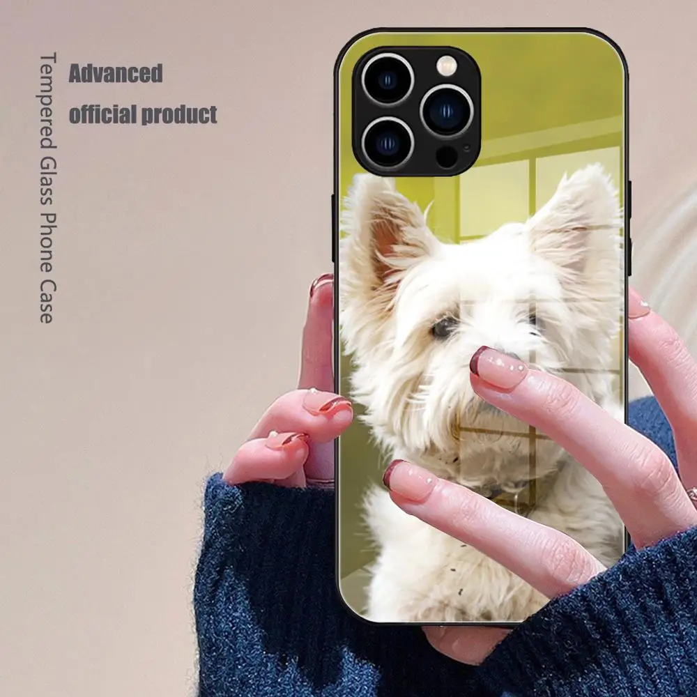 West Highland Terrier Westie Phone Case Tempered Glass For IPhone 16 15 Promax 14 13 Pro 12 11 plus X XS XR Covers