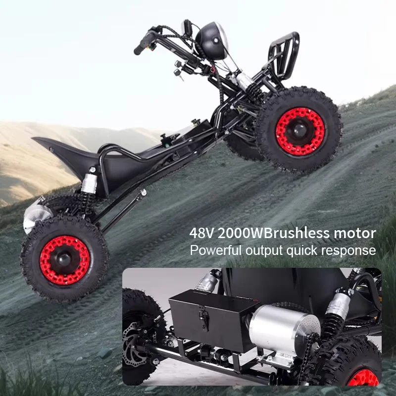 2000W Adult Electric Off-Road Kart 2000W Motor Chain Drive Double Wisharm Suspension 6 Inch Iron Wheel Kart