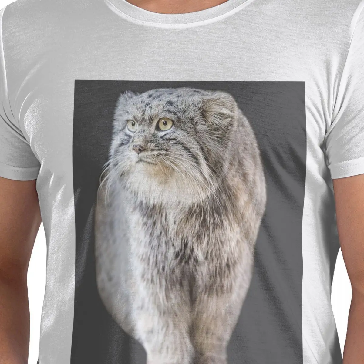 

Round Pallas Cat 100% Cotton T-Shirt Men's Oversized T Shirts Men Crew Neck Short Sleeve S-6XL