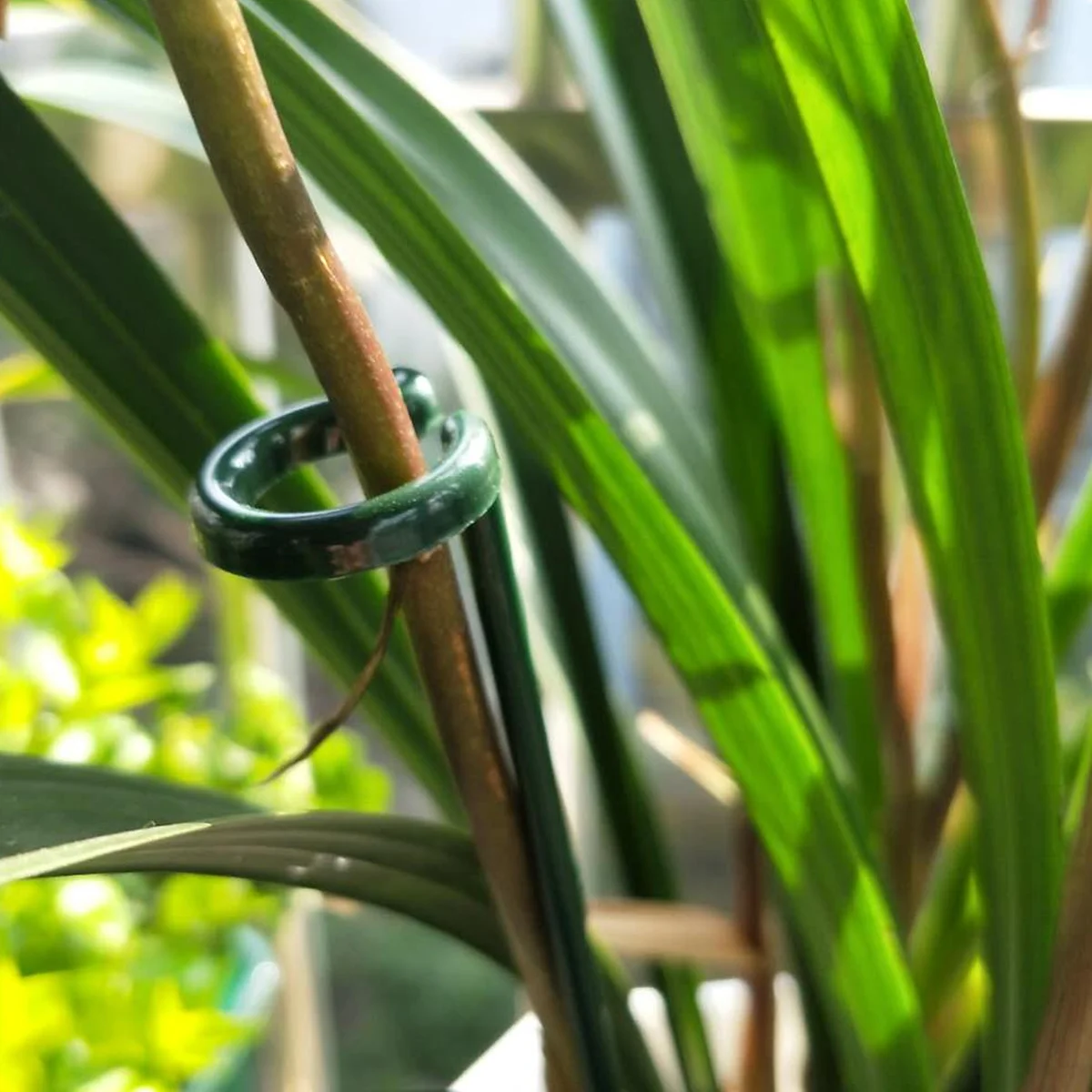 

6 Pcs Stem Support Stake Garden Trellis Flower Stand Indoor Plant Shelf Frame Stands for Plants