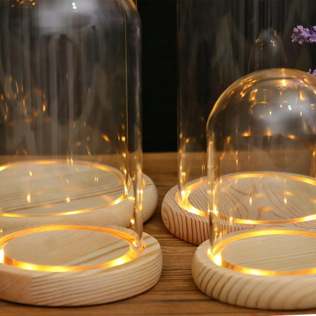 Clear Glass Display Dome with LED Wood Base Microlandscape Holder Glass Cover  for Birthday Gift Bedroom Home Decoration