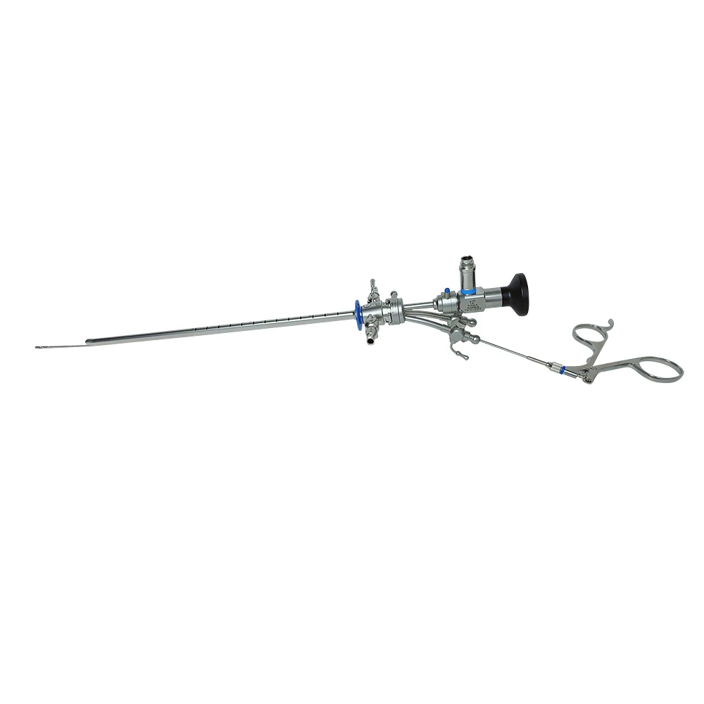 Urology Endoscope with Working Elements Double Single Channel Bridge Urology Cystoscope 30degree 4mm 302mm Pediatric Cystoscope
