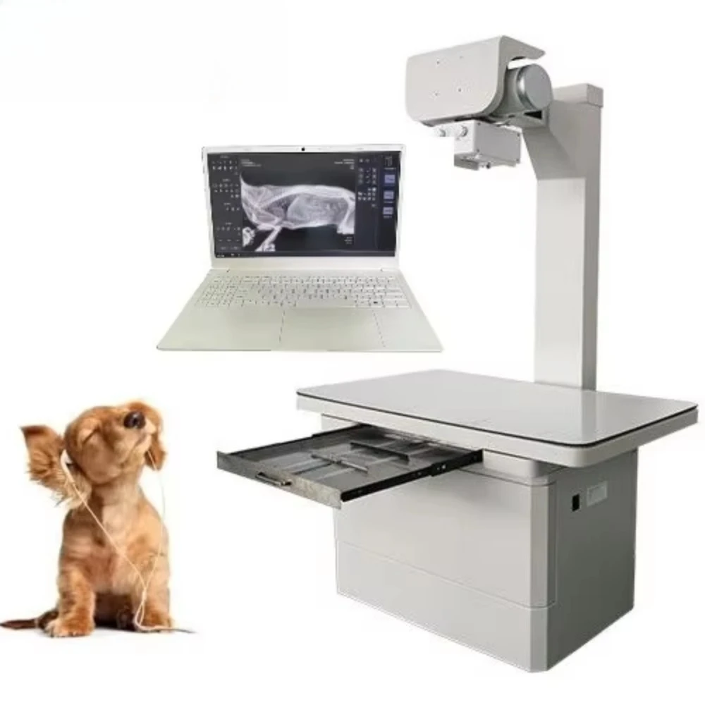 High-quality electric pet X-ray machine Professional use of metal animal health equipment Veterinary hospital use X-ray