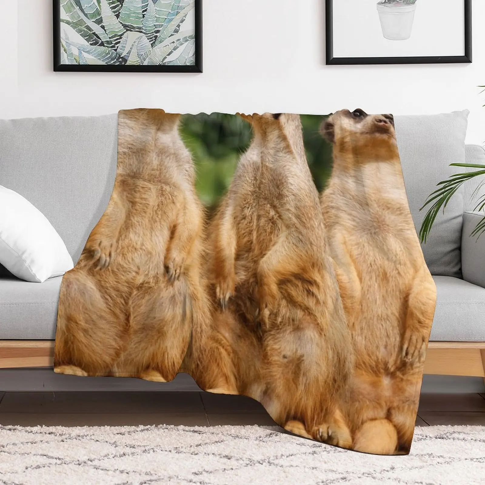 Meerkat 07 Throw Blanket Decorative Sofas bed plaid funny gift heavy to sleep Blankets