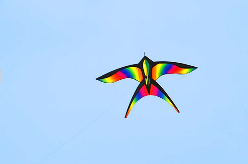 free shipping rainbow kites flying bird kites new toys for kids kites nylon kites children kites beach flying line weifang kite