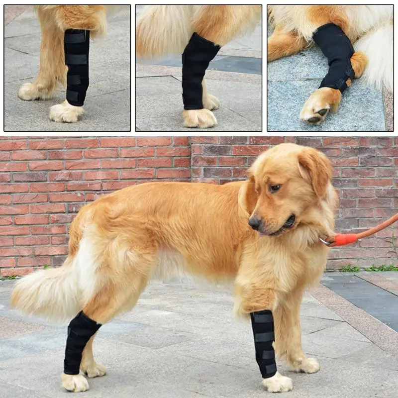 24TD Canine Wrap Protects Wounds Heal Sprains Supports for Injuries Sprains S/for M/L