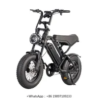 V20 Mini 250W 48V 16-Inch Fat Tire Electric Hybrid Bike Fashionable OFF-Road Ebike V20 Mini Lithium Battery Fatbike